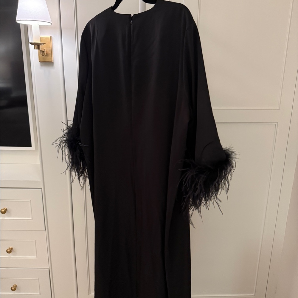 Tuckernuck Black Dress with Feather Trim - Picture 5 of 5